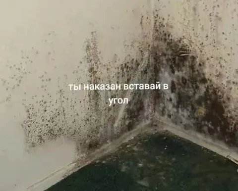 Наказан вставай в угол