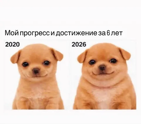 Прогресс за шесть лет