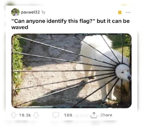 Flag That Can Be Waved