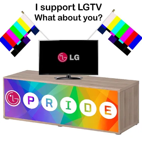 I Support LG TV Pride