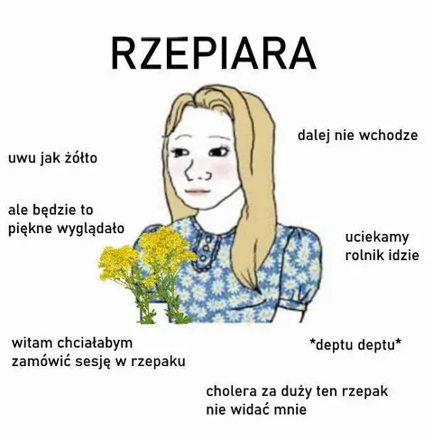 Rzepiara w rzepaku
