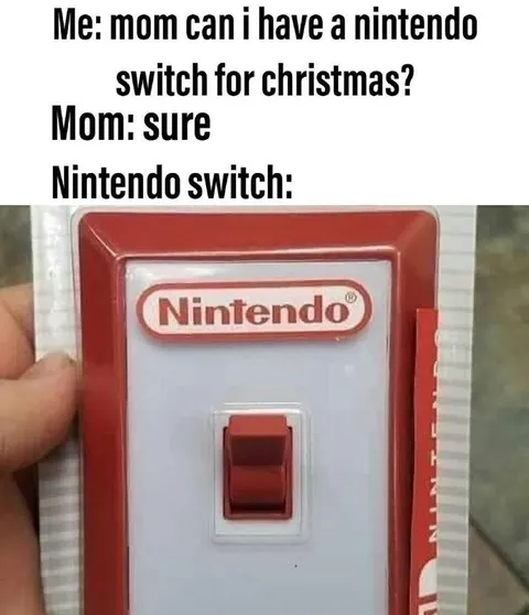 Nintendo Switch for Christmas