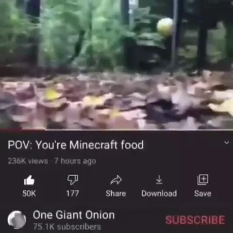 POV: You're Minecraft Food