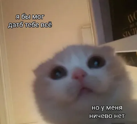 Я бы мог дать тебе всё