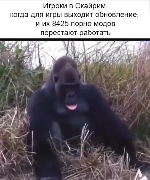 Когда обновление ломает моды