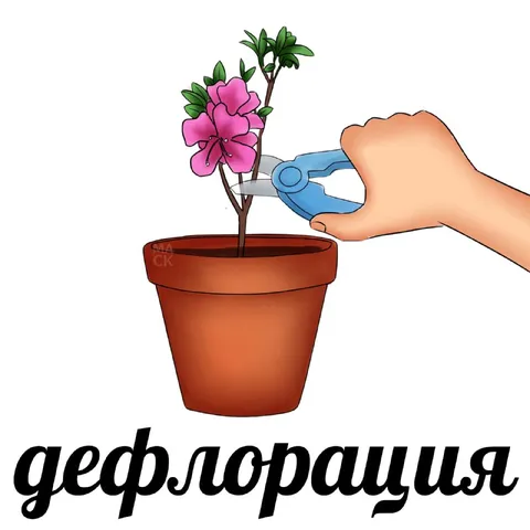 Дефлорация цветка ножницами