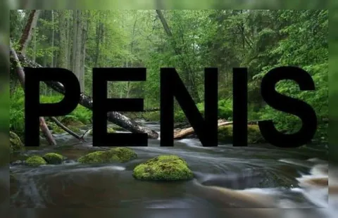 Penis in the Forest Stream