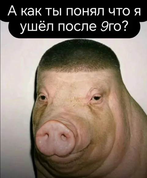 Свинья после ухода