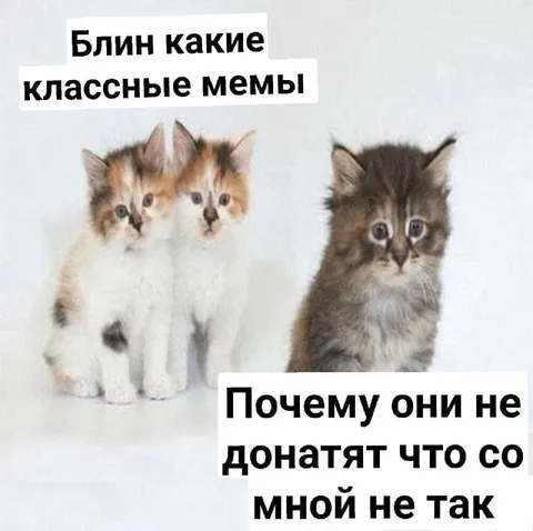 Почему со мной что-то не так