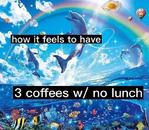 Three Coffees No Lunch