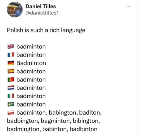 Polish Is a Rich Language