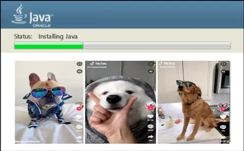 Status: Installing Java