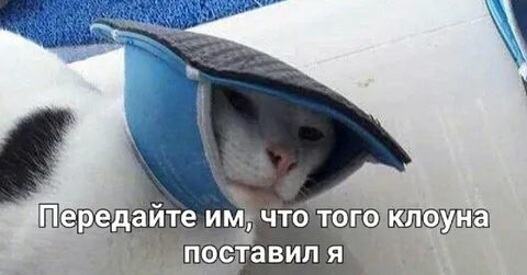 Кот под зонтом и клоун