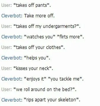 Cleverbot Takes It Too Far
