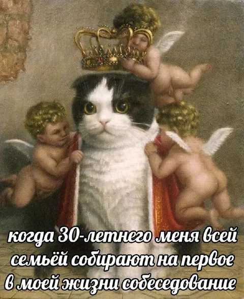 Кот на семейном совете