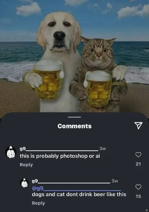 Dogs and Cat Drinking Beer