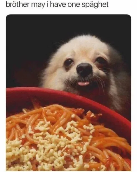 Bröther May I Have One Späghet