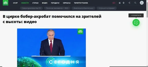 Бобер-акробат помочился на зрителей