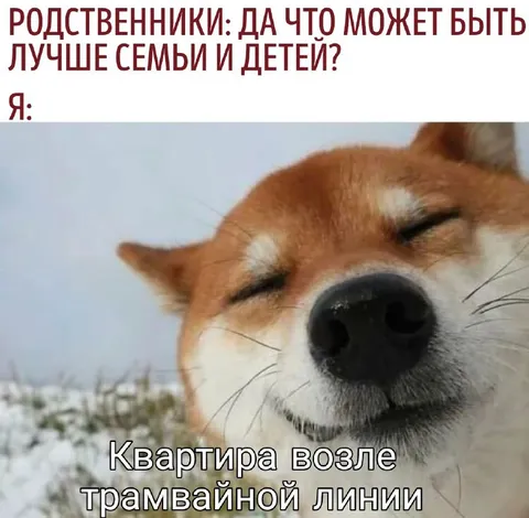 Квартира возле трамвайной линии