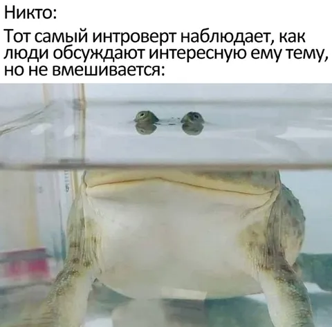 Интроверт наблюдает за разговором