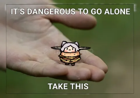It's Dangerous to Go Alone Take This