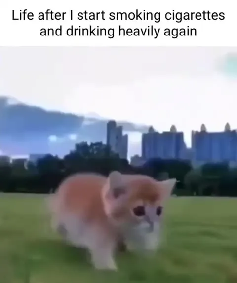 Life After Heavy Drinking