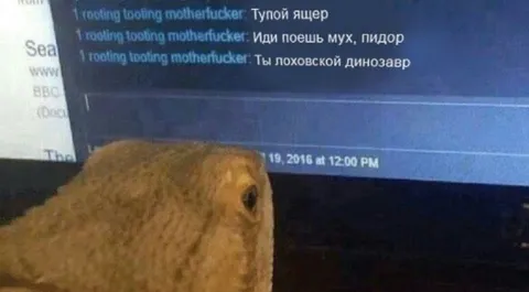 Жаба читает оскорбления
