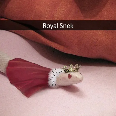 Royal Snek