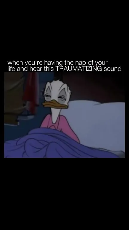 Traumatizing Sound During a Nap