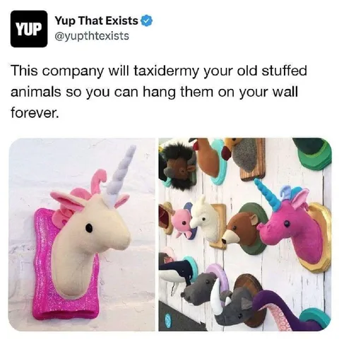 Taxidermy Your Old Stuffed Animals