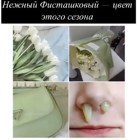 Нежный фисташковый цвет