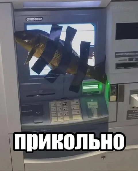 Акула в банкомате