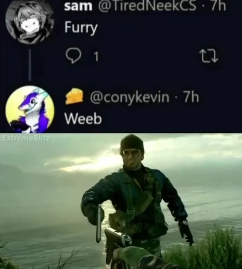 Fury versus Weeb