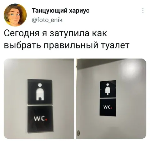 Как выбрать правильный туалет