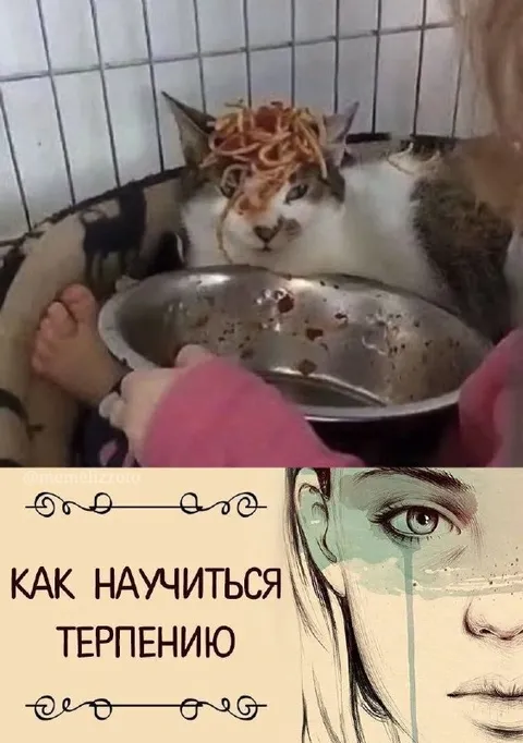 Как научиться терпению