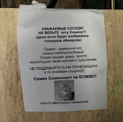 Кот Семен — авантюрист-мошенник