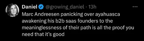 Marc Andreessen Ayahuasca Panic