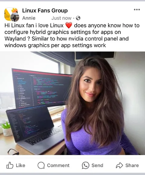 Linux Fan Needs Wayland Help