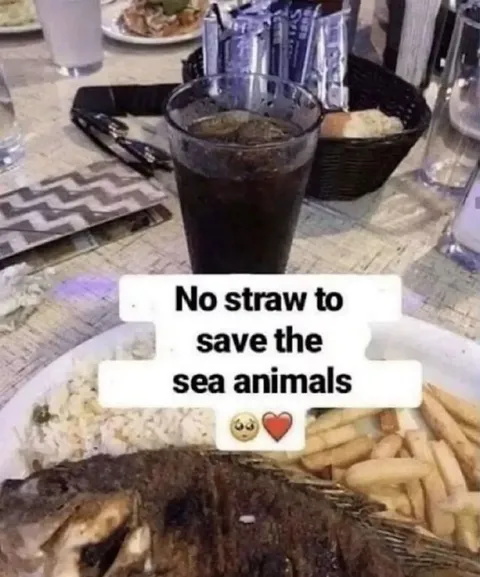 No Straw to Save Sea Animals