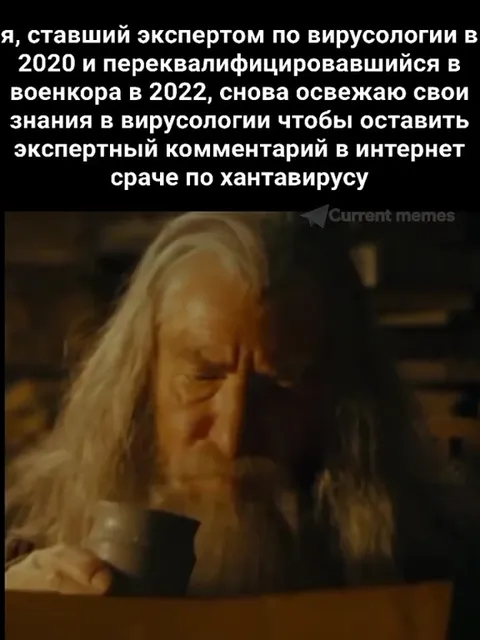 Эксперт по хантавирусу