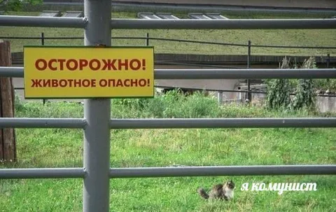 Опасное животное-коммунист
