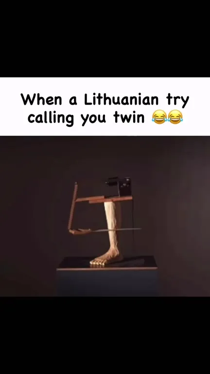When a Lithuanian Calls You Twin