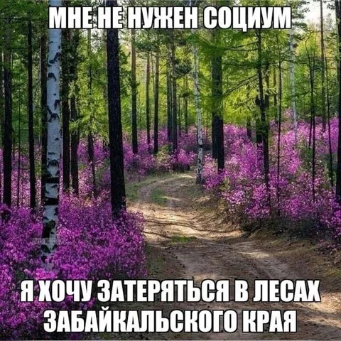 Затеряться в лесах Забайкалья