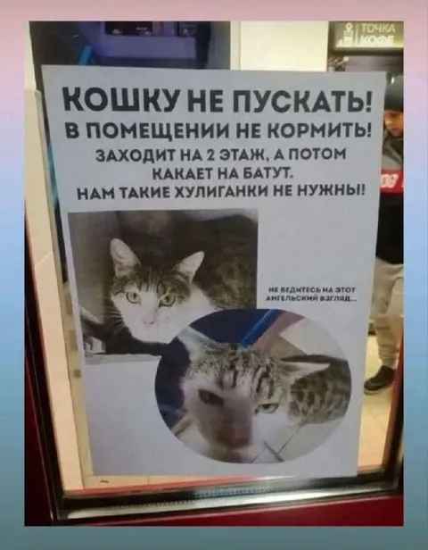 Кошку не пускать в помещение
