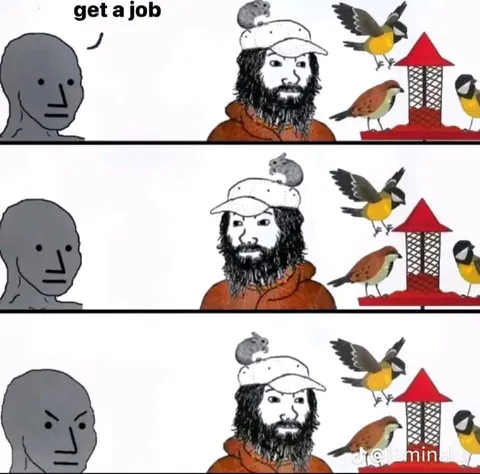 Get a Job While Watching Birds