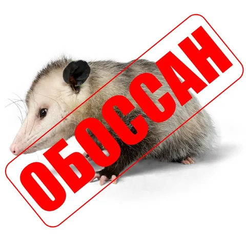 Вбросан опоссум