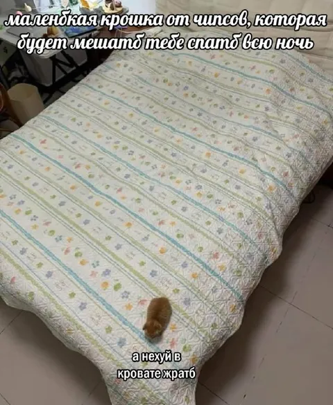 Крошка чипсов в кровати