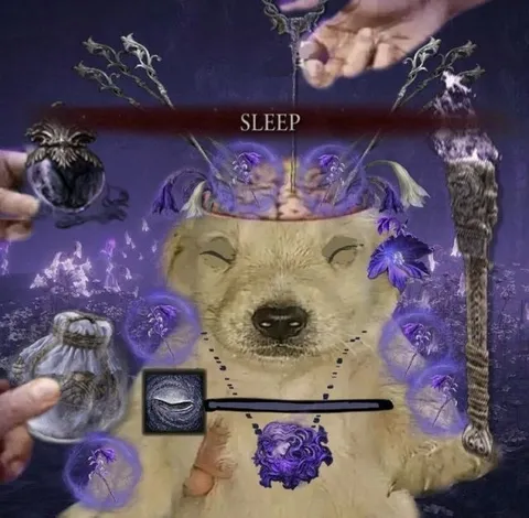 SLEEP Fantasy Dog
