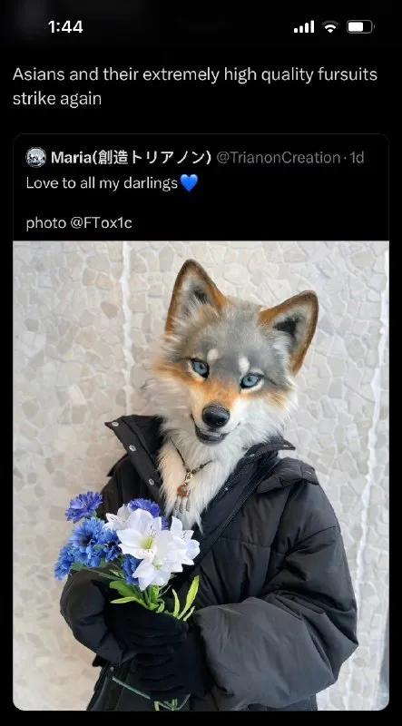 Asians and Their High Quality Fursuits