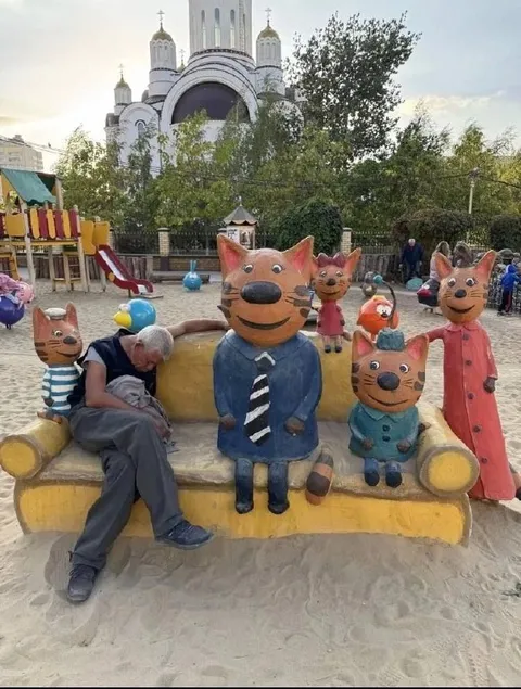 Устал среди котов